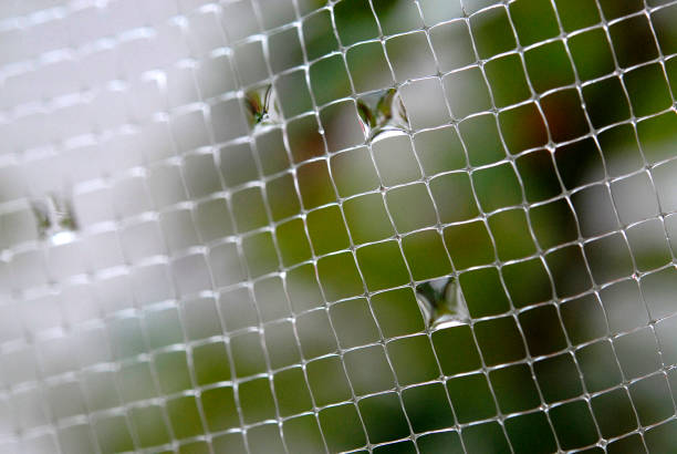 Bird & Gutter Mesh (or net)