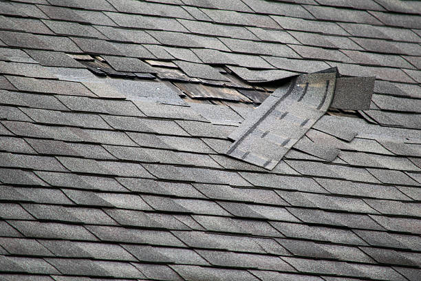 leaks roof